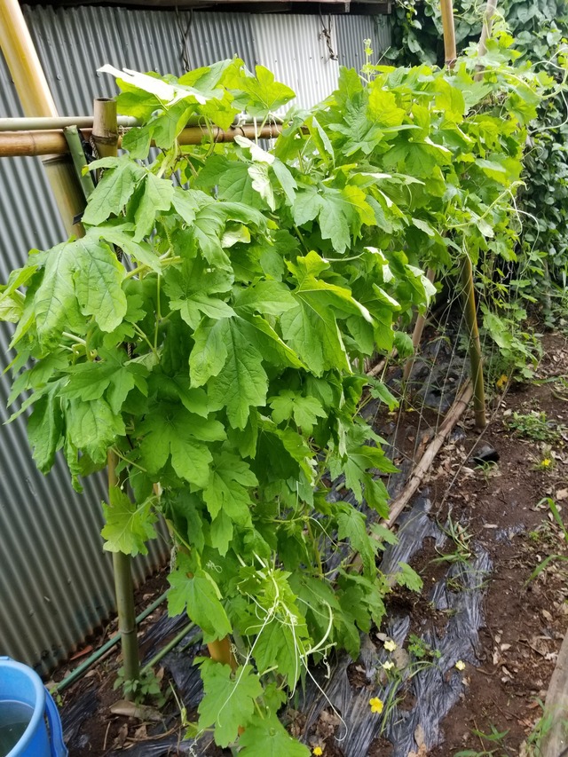 20220726_144741_copy_1512x2016