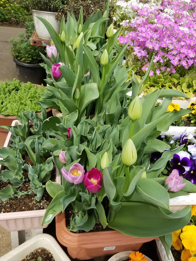 20230321_113202_copy_1209x1612