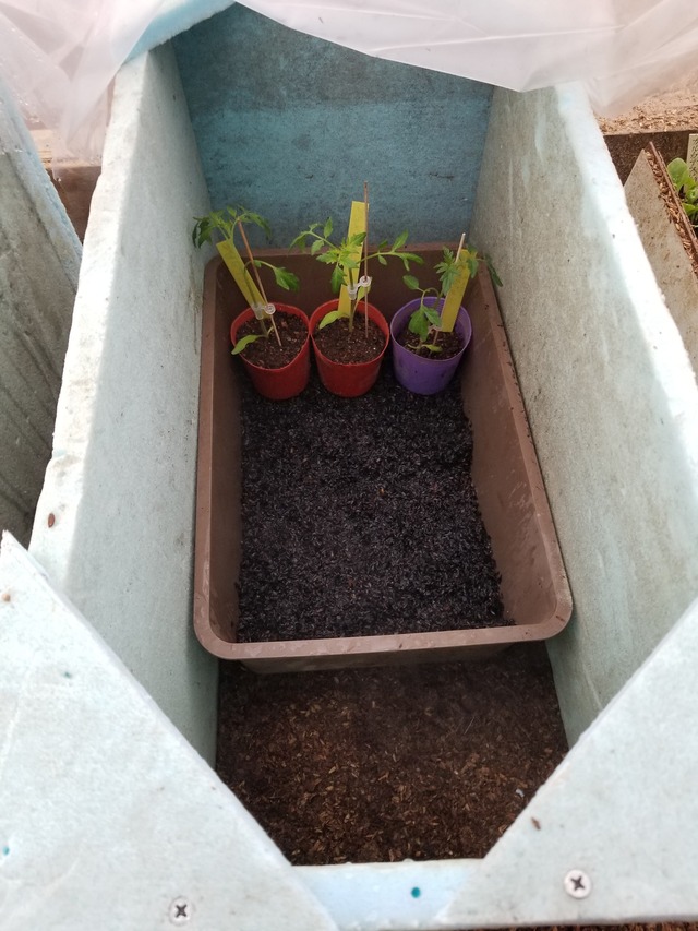 20220322_081158_copy_2268x3024