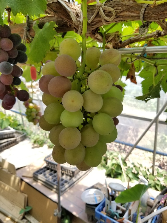 20230728_110359_copy_1512x2016