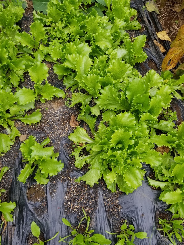 20201108_095540_copy_2268x3024