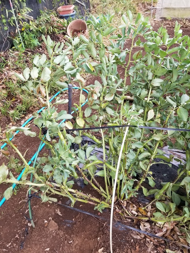 20230430_081636_copy_1512x2016