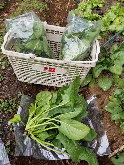 20200214_082551-2268x3024