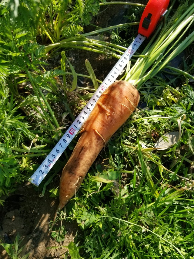 20231221_102904_copy_1512x2016