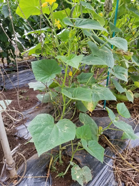 20190821_073244-1620x2160