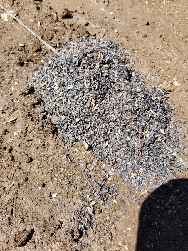 20210806_095049_copy_2268x3024