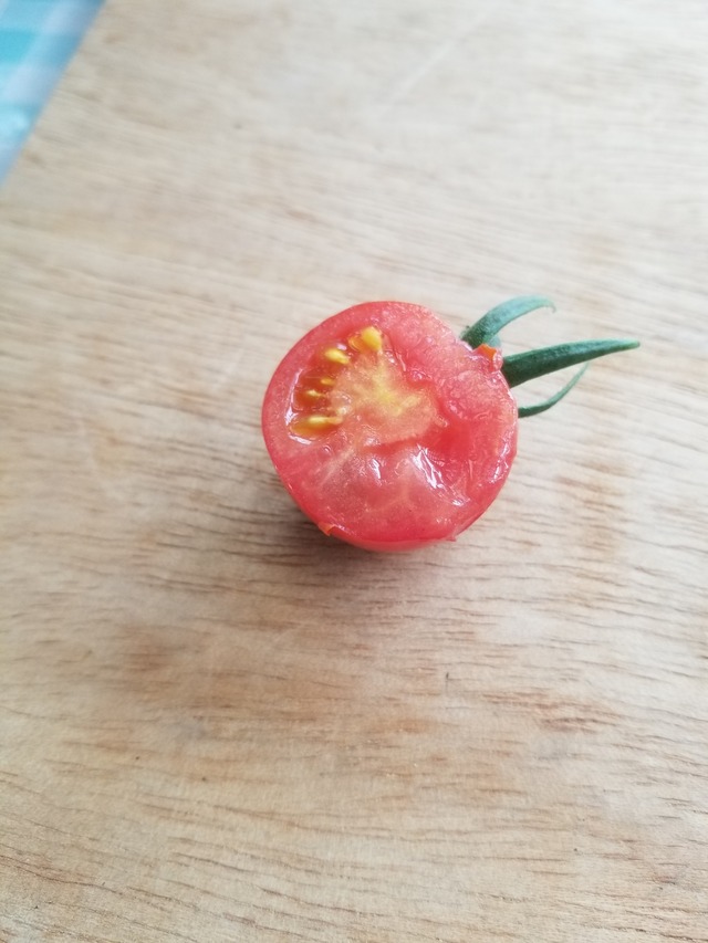 20210605_075613_copy_2268x3024