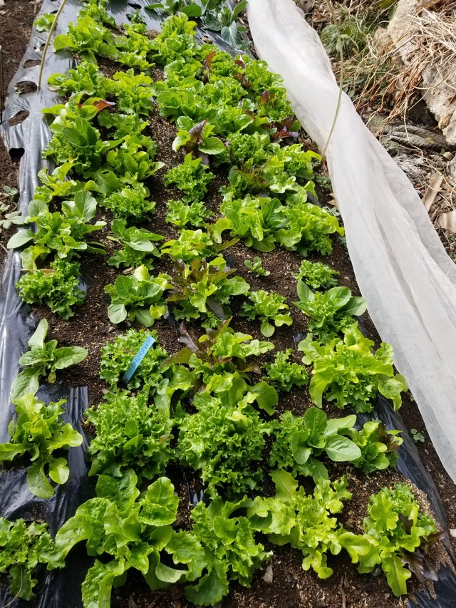 20240122_135840_copy_1512x2016