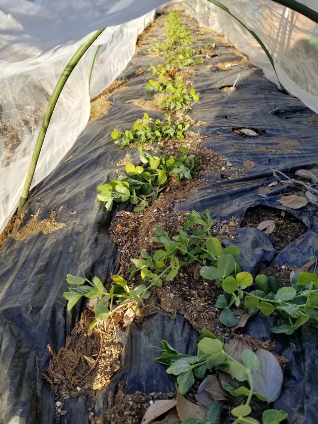 20220119_081358_copy_2268x3024