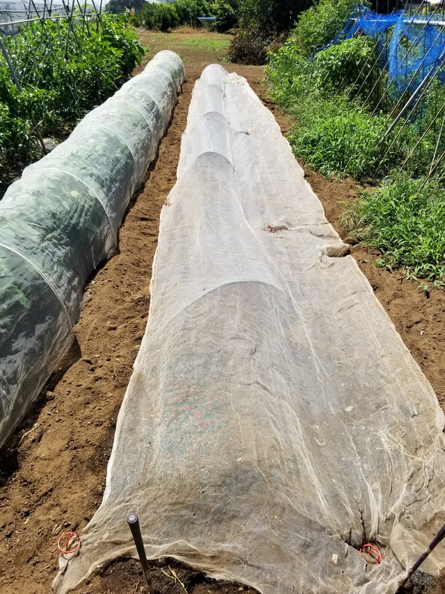 20210806_101857_copy_2268x3024