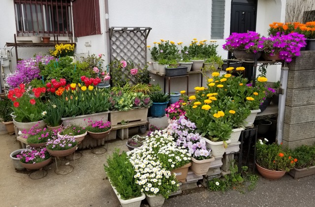 20190414_120323-3024x2268