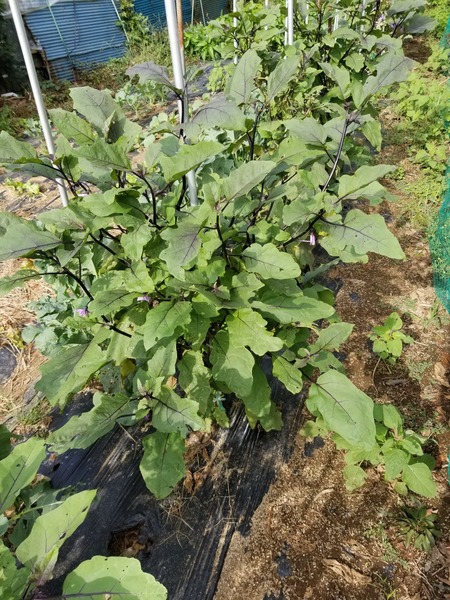 20190926_082931-1620x2160