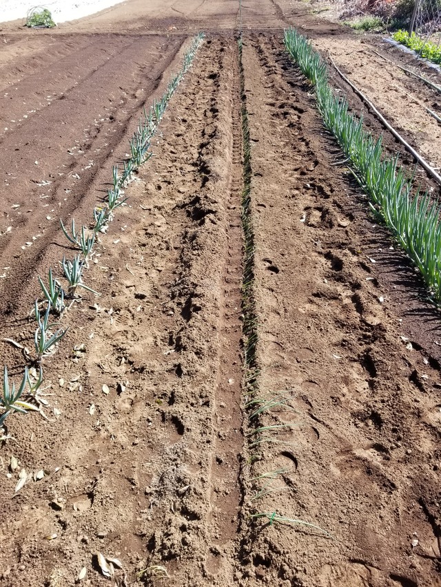 20230319_135954_copy_1209x1612