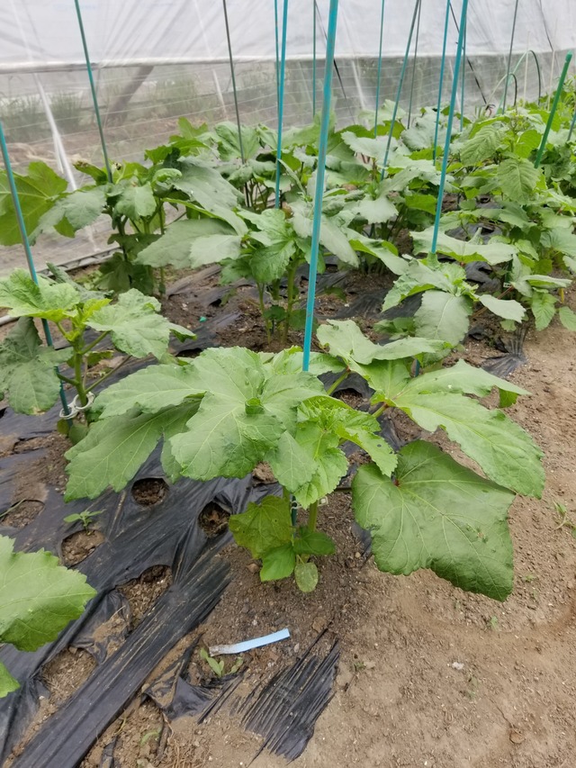 20230630_094818_copy_1512x2016