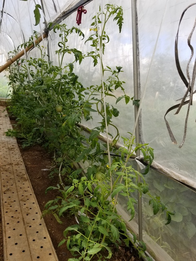 20210803_084042_copy_2268x3024