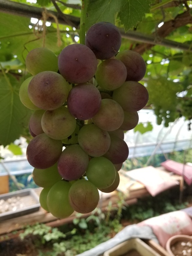 20230708_085851_copy_1512x2016