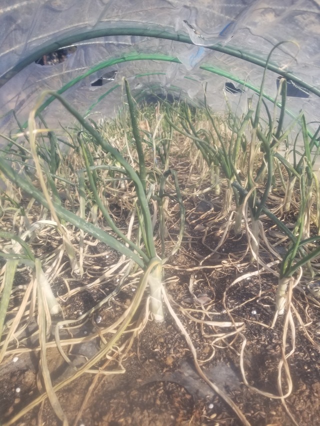 20230110_083503_copy_1512x2016