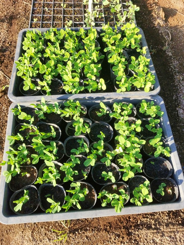 IMG_20231108_151203_DRO_copy_1209x1612