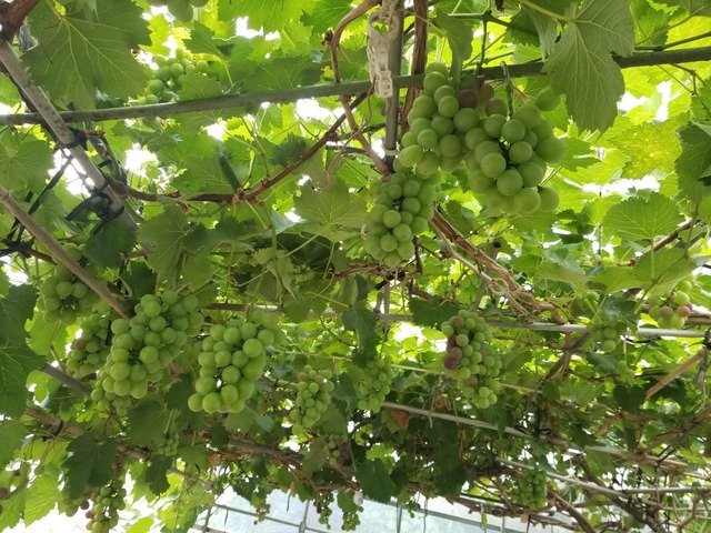 20230708_090113_copy_2016x1512