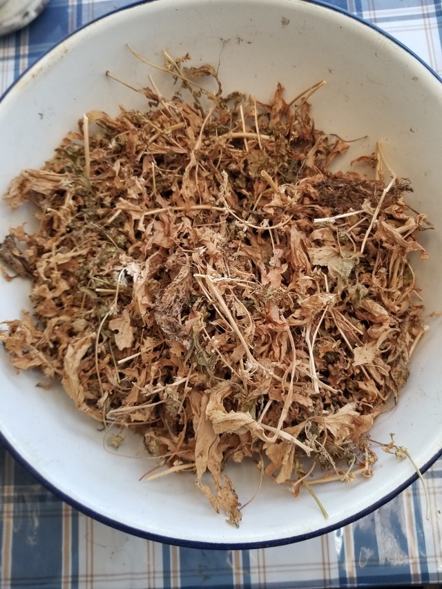 20230716_102434_copy_1512x2016