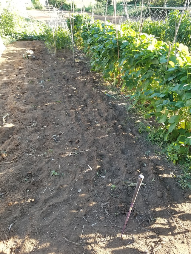 20200830_163722_copy_3024x4032_1