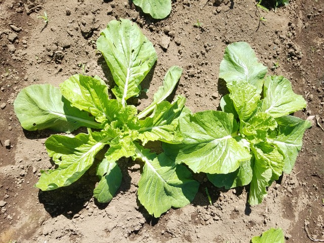 IMG_20231006_105422_copy_2016x1512