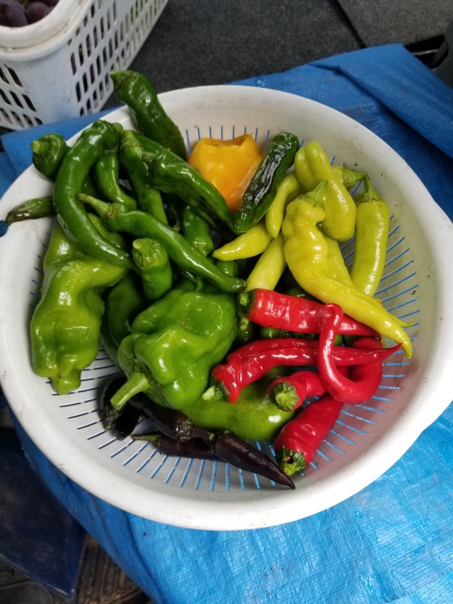 20210909_085103_copy_2268x3024