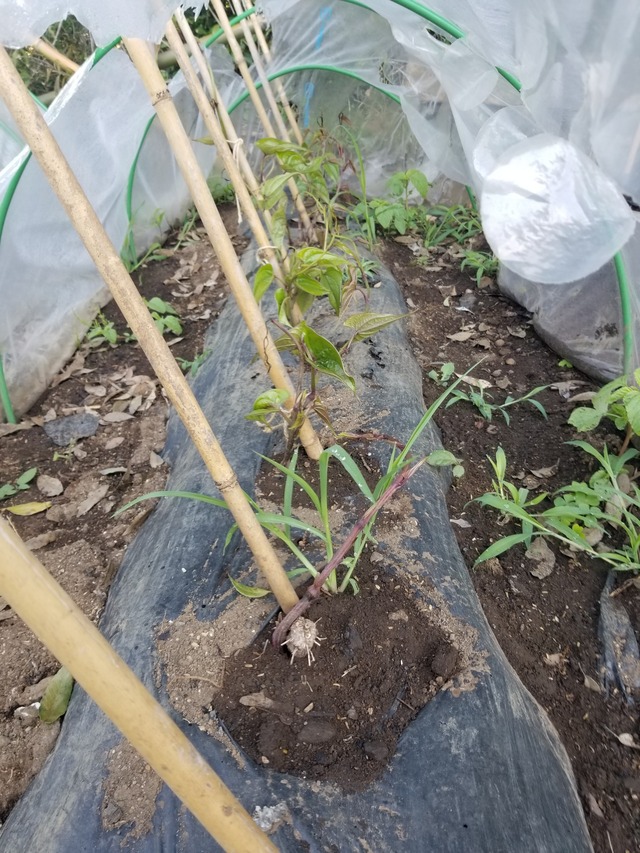 20230510_085048_copy_1512x2016