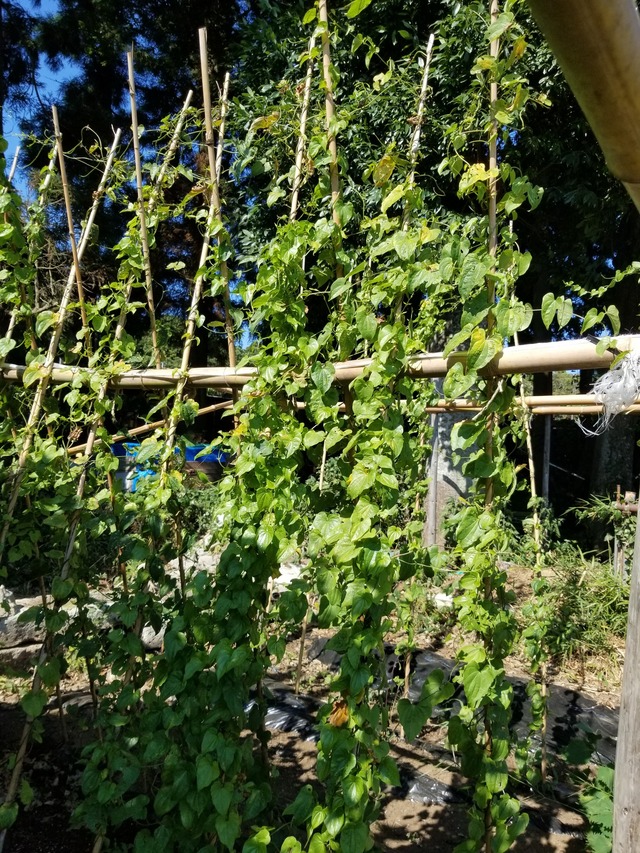 20230805_145309_copy_1512x2016