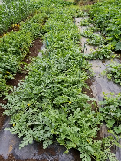 20190628_082520-1620x2160