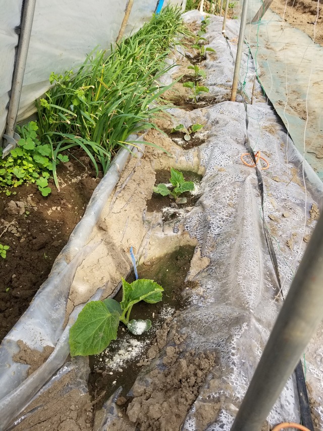 20240407_144707_copy_2268x3024