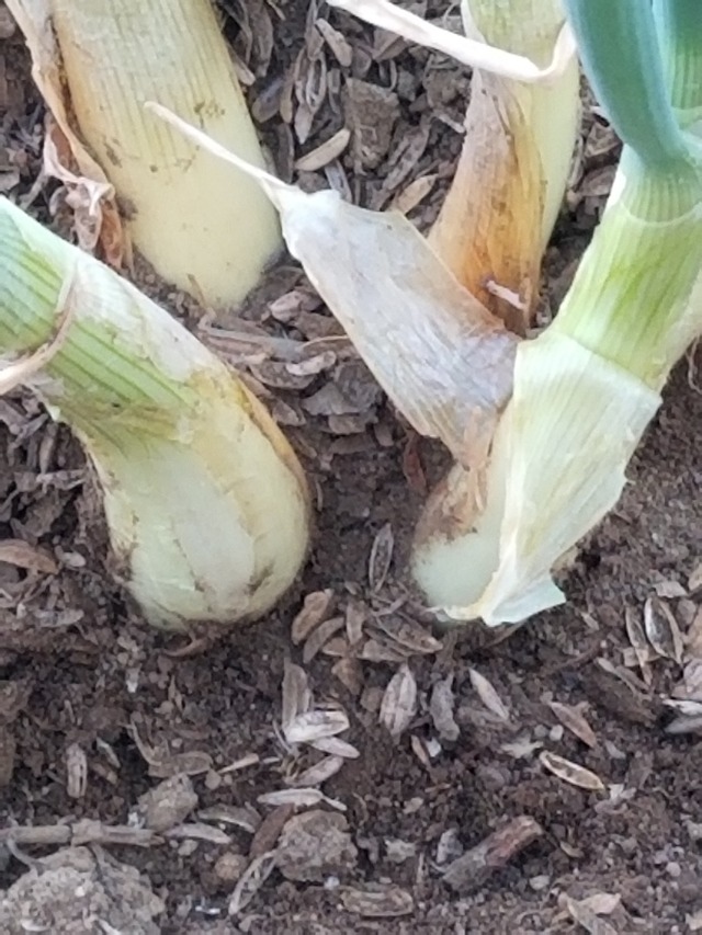 20230110_084646_copy_1512x2016