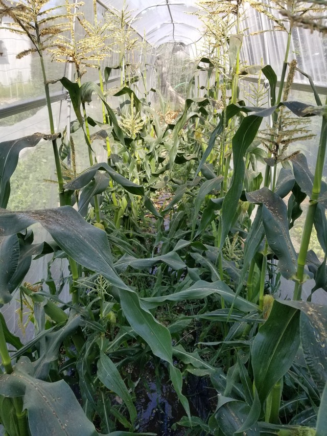 20220709_152726_copy_1512x2016