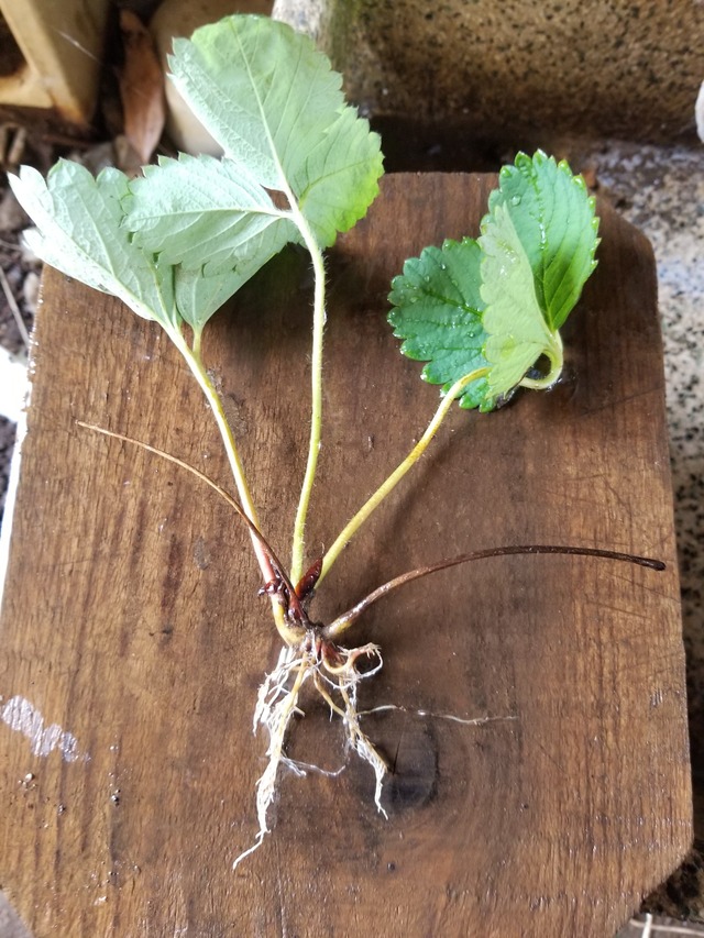 20230721_103905_copy_1512x2016