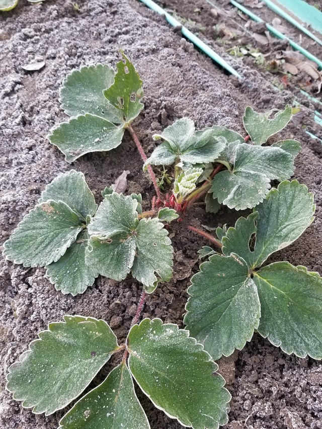 20231221_081047_copy_1512x2016