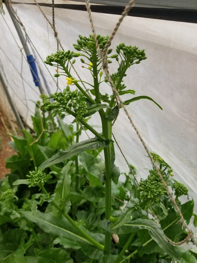 20240404_075919_copy_2268x3024