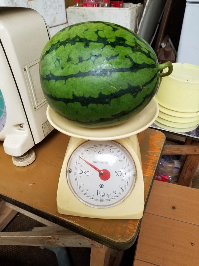 20200725_113502_copy_2268x3024