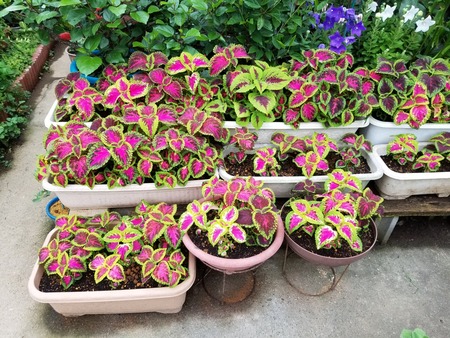 20190706_181308-2160x1620