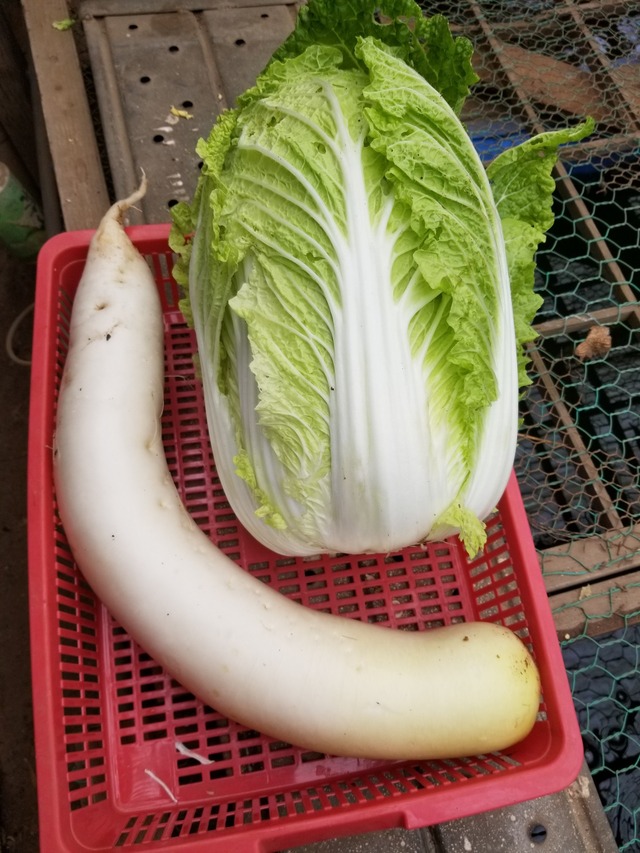 20231215_110531_copy_1512x2016