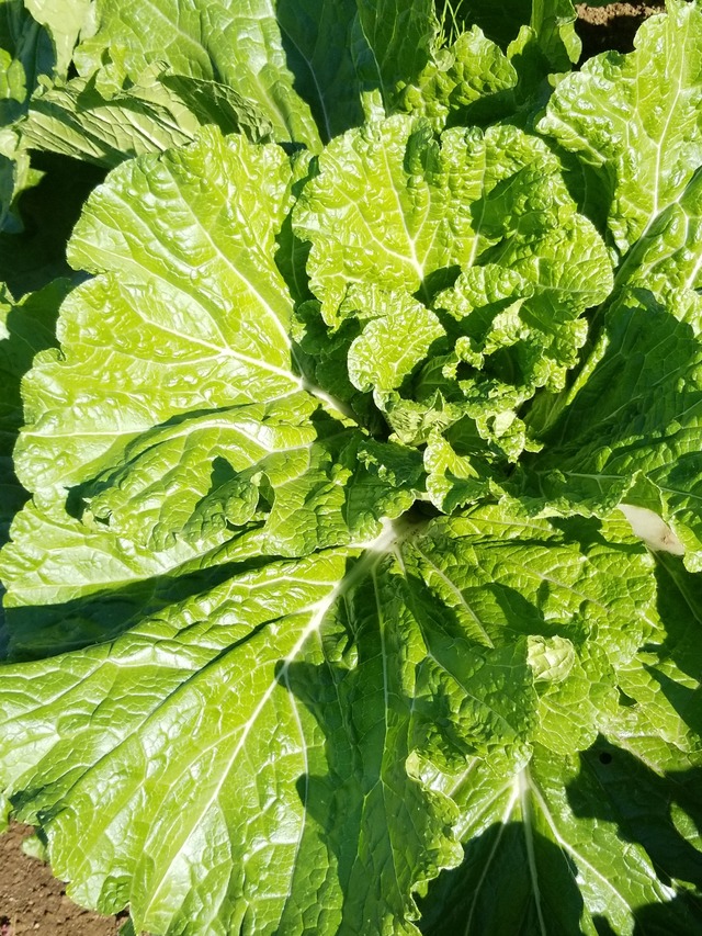 IMG_20231021_102425_copy_1512x2016