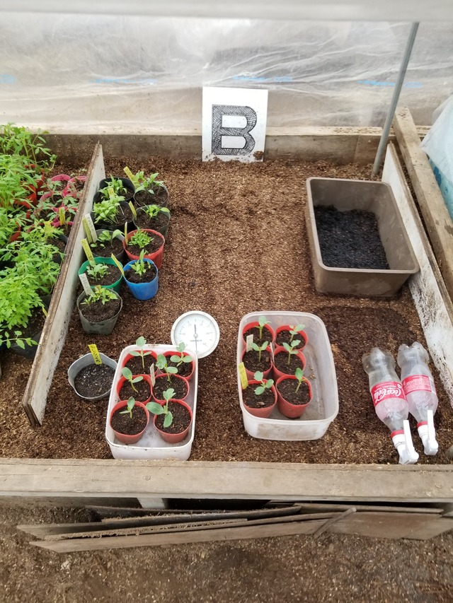 20220322_080708_copy_2268x3024