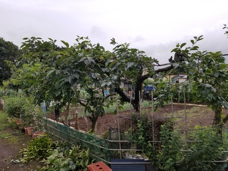 20190706_132733-2160x1620