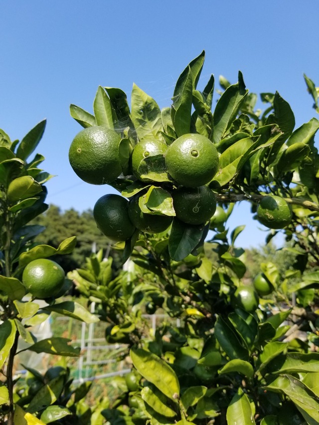 20230726_150148_copy_1512x2016