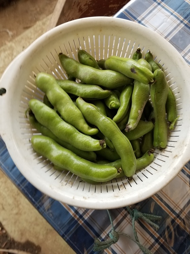 20230501_094717_copy_1512x2016