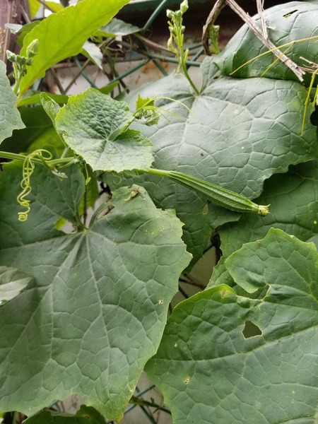 20190724_090704-1620x2160