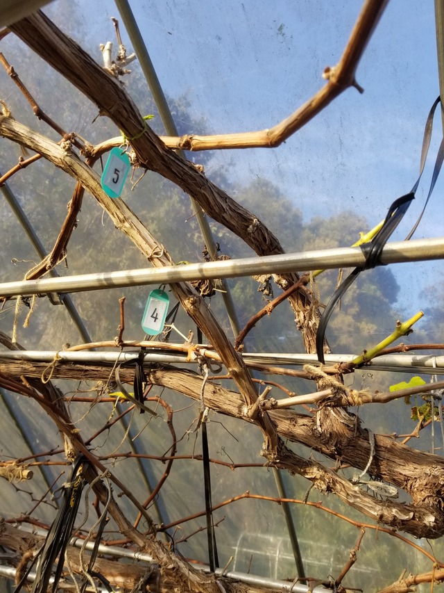 20231218_145417_copy_1512x2016