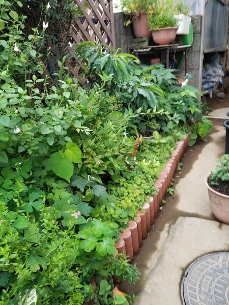 20190706_181503-1620x2160