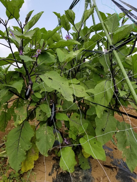 20190731_093243-1620x2160