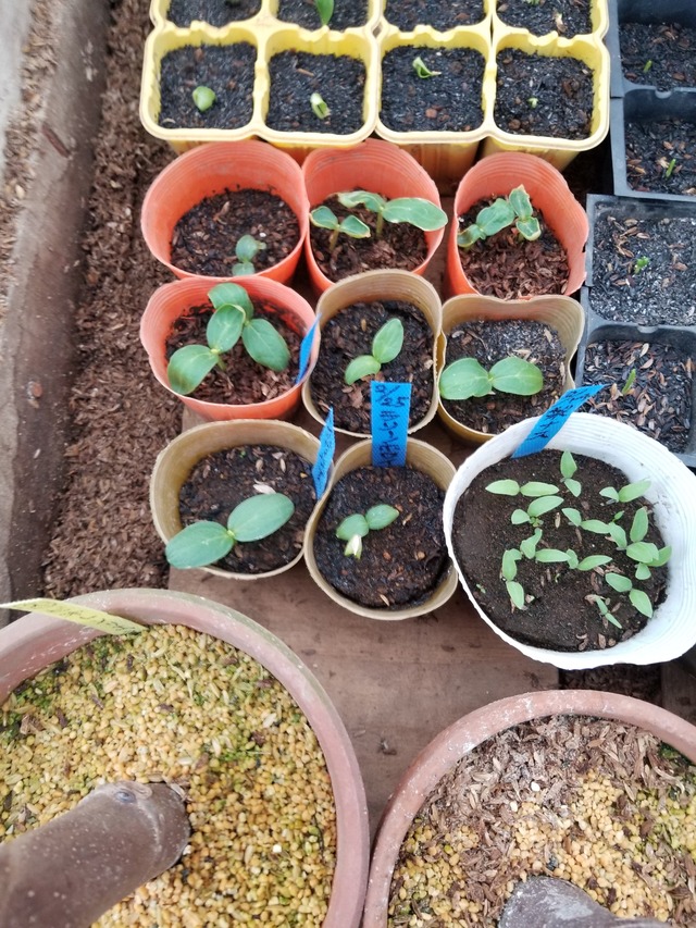 20240308_091858_copy_2268x3024