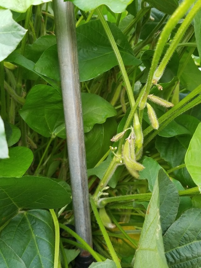 IMG_20230916_100414_copy_1512x2016